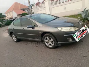 Peugeot 407 2005 Gray