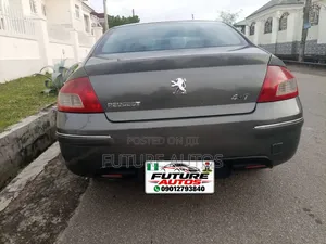 Peugeot 407 2005 Gray