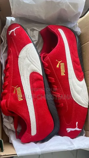 Brand New Puma Speedcatsfor Sell Haven't Be Worn Before