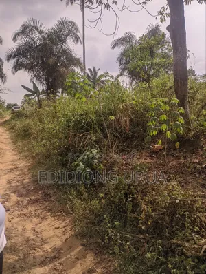 460sqm Plots of Land for Sale in Uyo, Akwaibom State