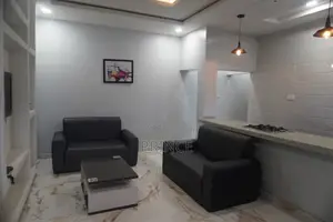 House Cleaner, Car Washer