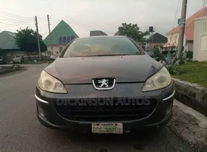 Peugeot 407 2008 Gray