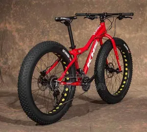 Mountain Bike Fat Tyre