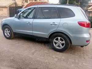 Hyundai Santa Fe 2008 Blue