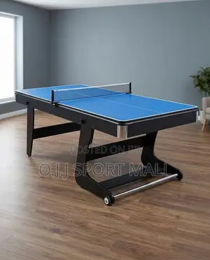 2-in-1 Snooker Table Tennis Board With Full Accessories