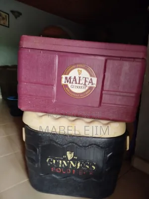 Insulated Cooler / Warmer