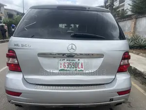 Mercedes-Benz M Class 2010 Silver