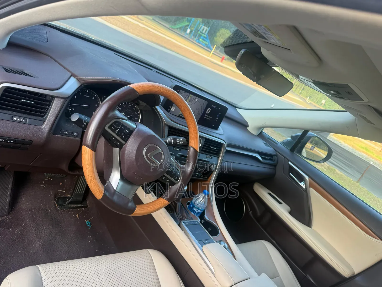 Lexus RX 2020 Blue