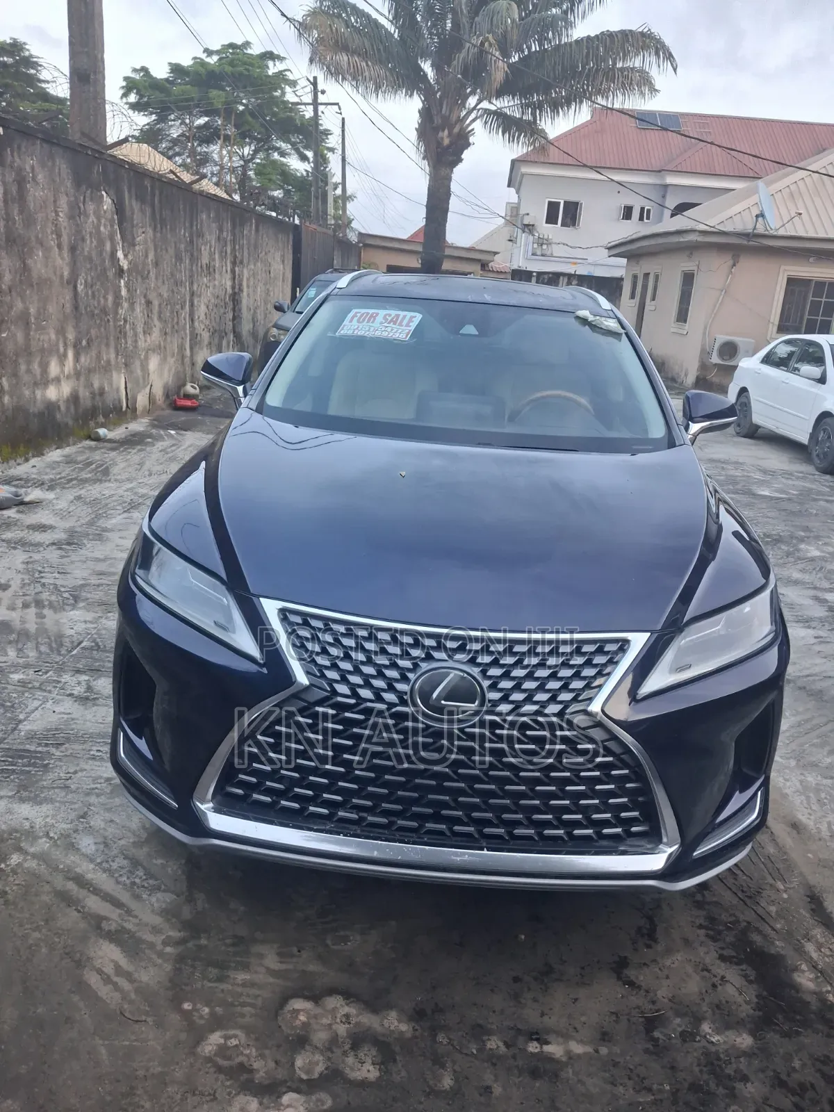 Lexus RX 2020 Blue