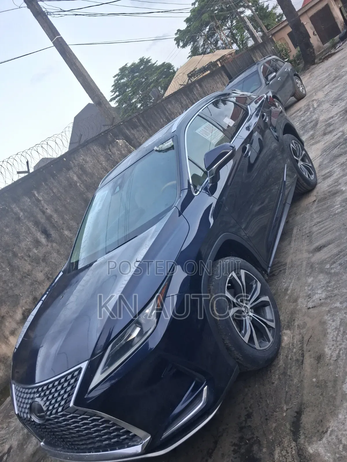 Lexus RX 2020 Blue