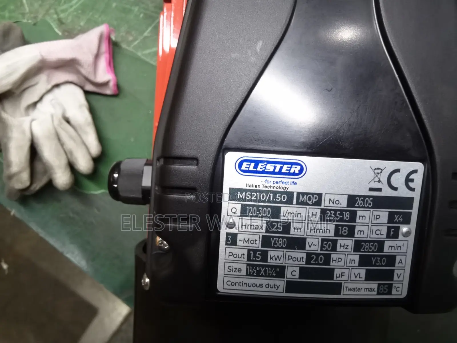 Elester Stainless Steel Pump