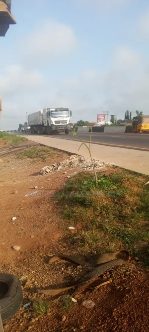 Dangote and Bua Cement Distributor