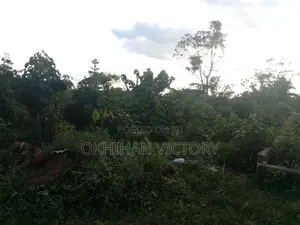 Land for Sale in Benin City