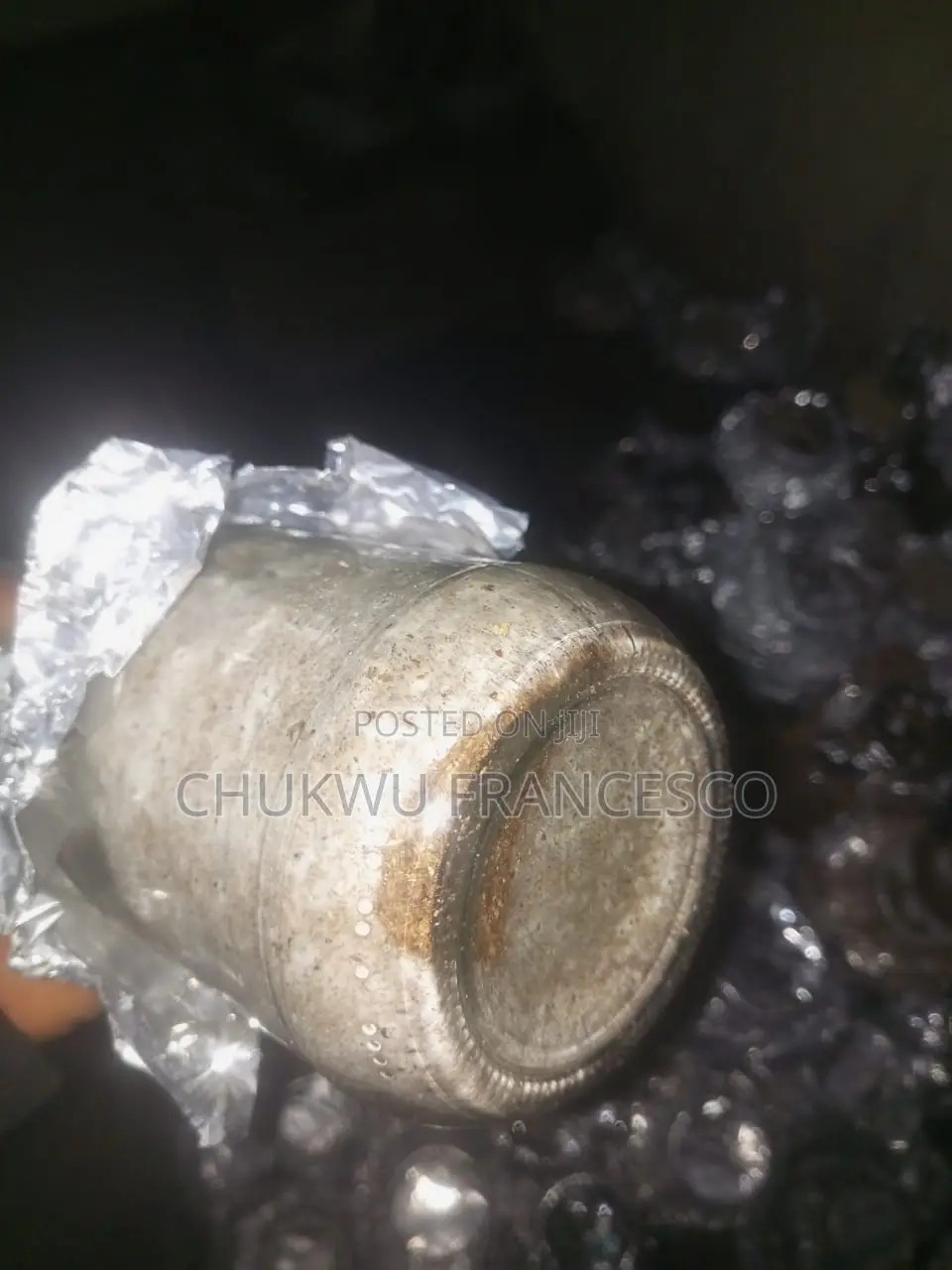 Oyster Mushroom Grain Spawn