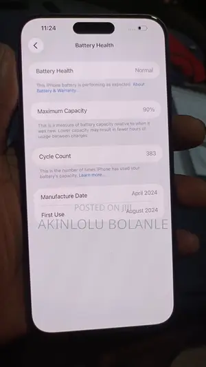 Apple iPhone 15 Pro Max 256 GB Silver