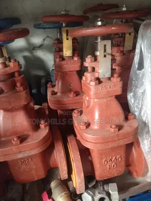 65 Gate Valve