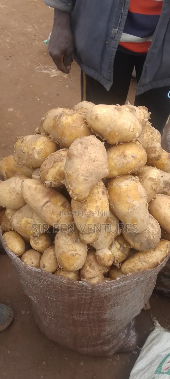 Potato at Its Best