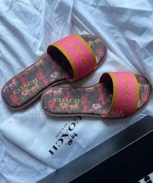 Original Coach Brynn Slide Scandal