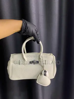 Classy Style Handbag