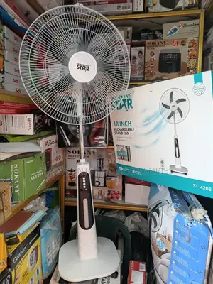 Winning Star Pure Copper Motor Rechargeable Fan18”