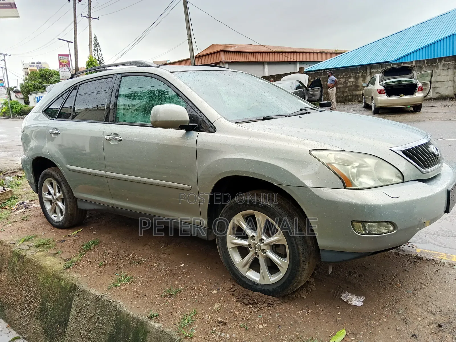 Lexus RX 2009 Green