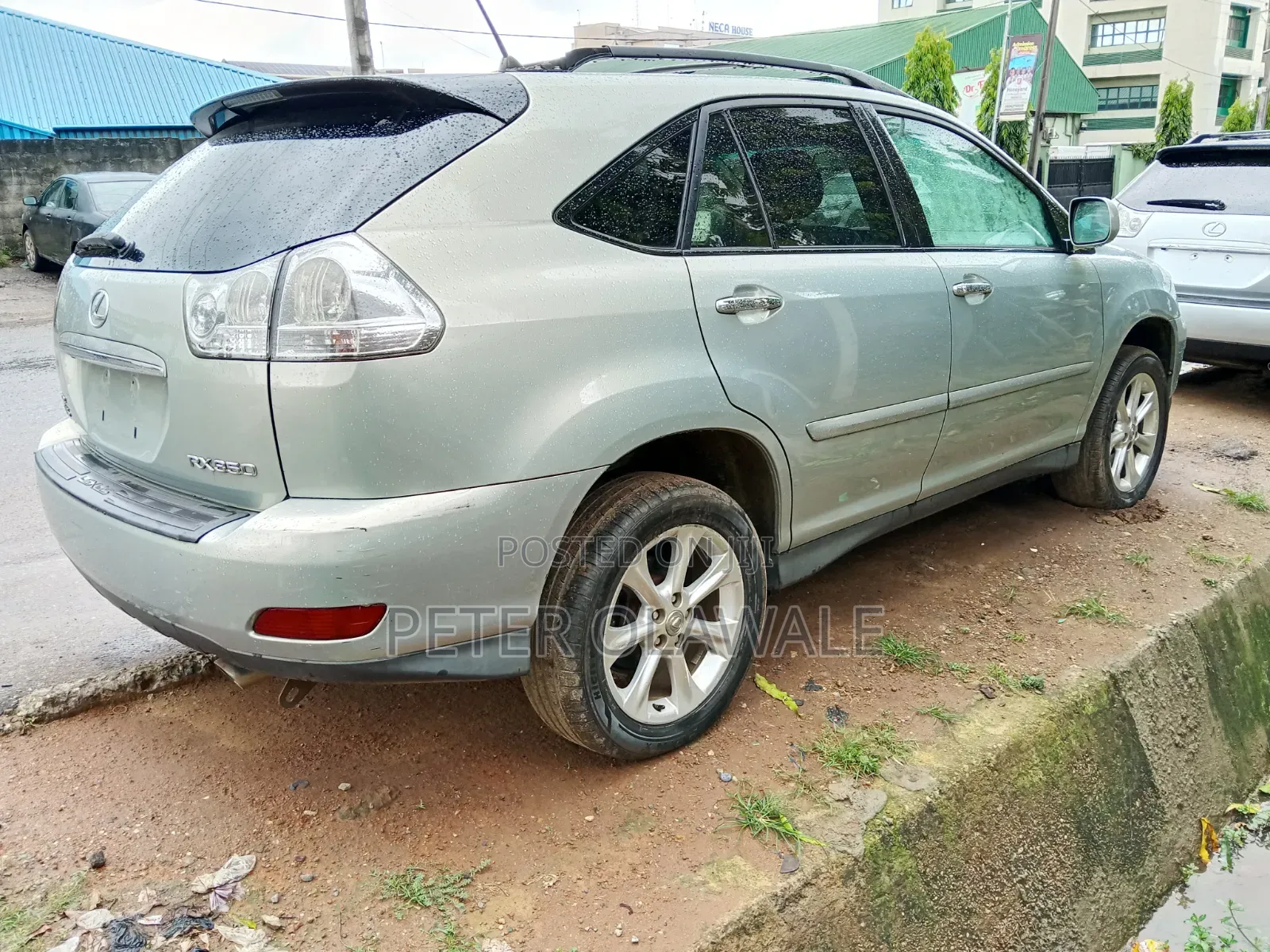 Lexus RX 2009 Green