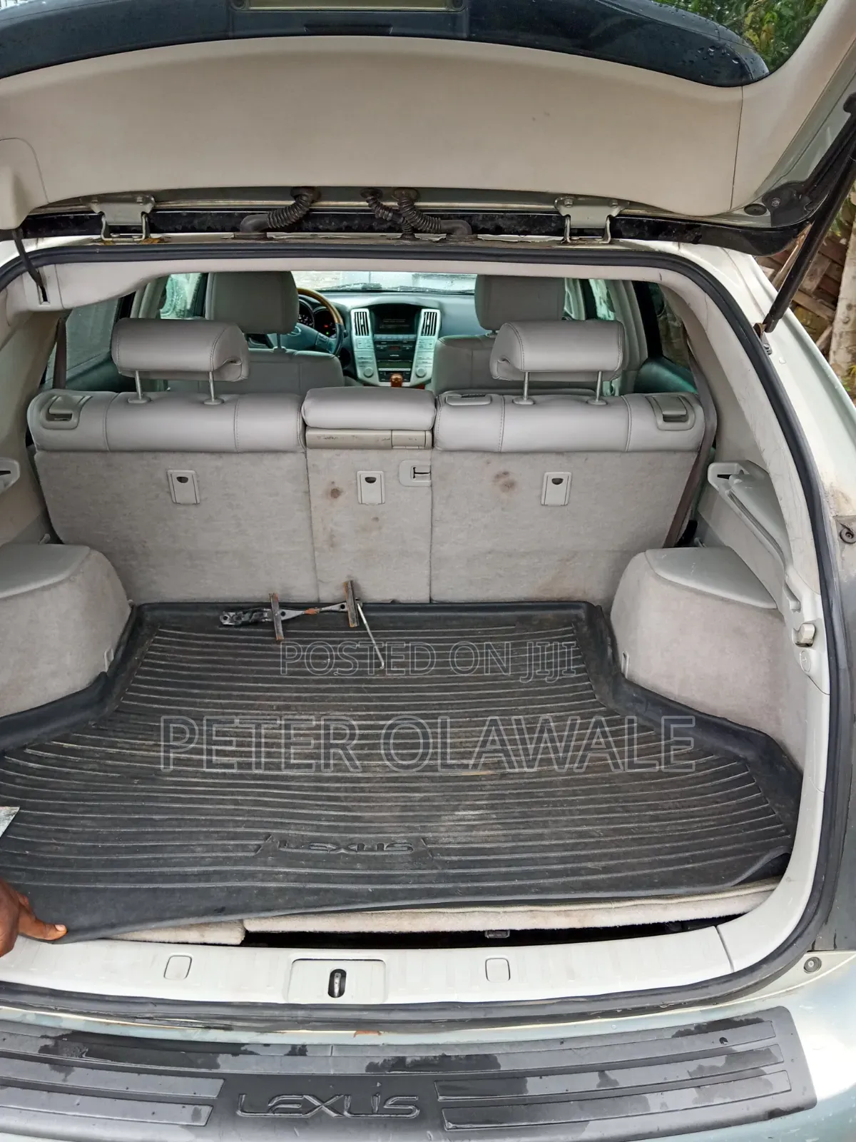 Lexus RX 2009 Green