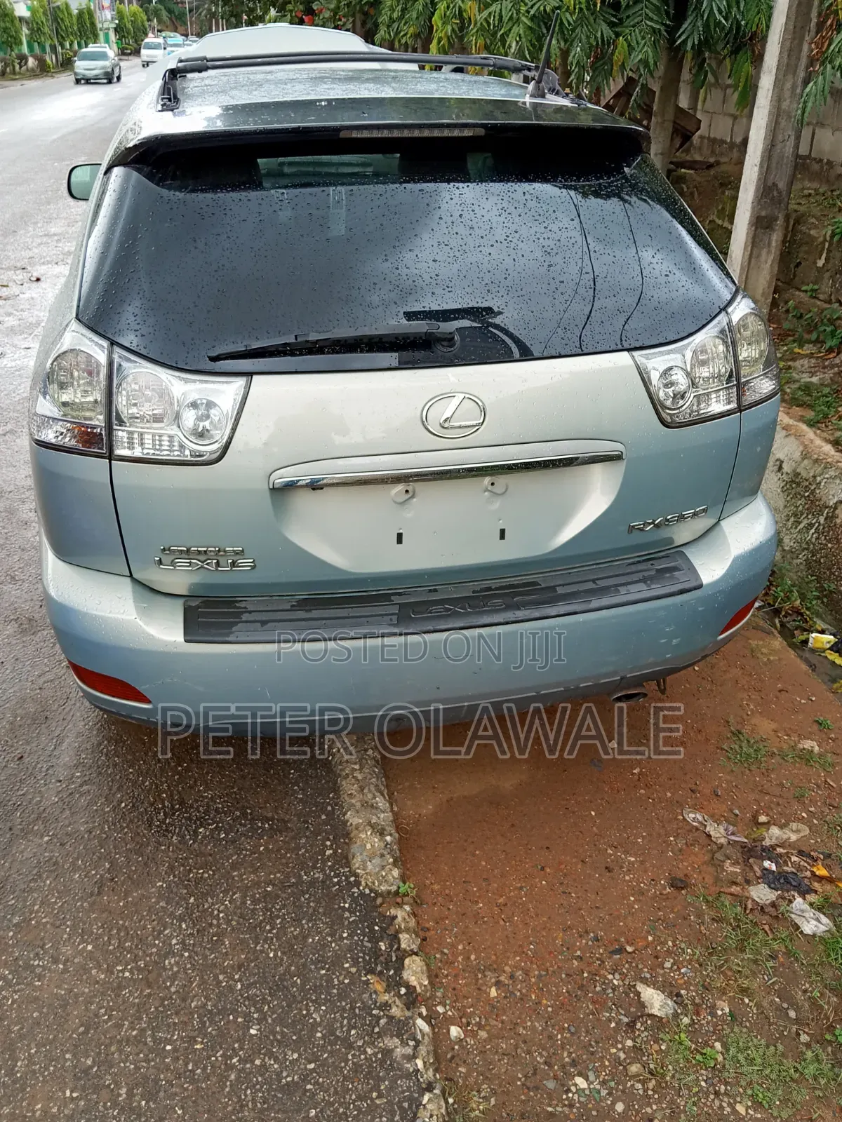 Lexus RX 2009 Green