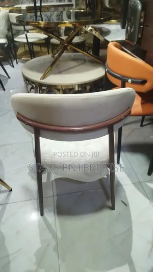 Dining Chair / Modern Restaurant Chair