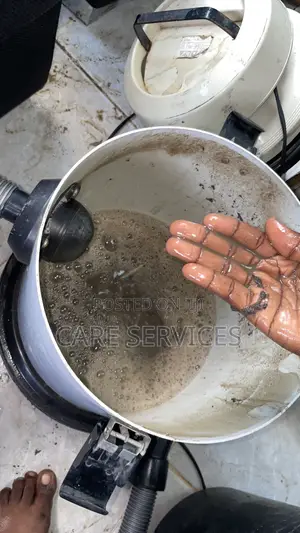 Experience Sofa Couch Cleaning Services