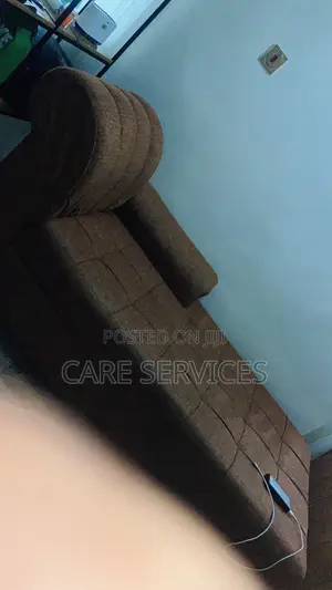 Experience Sofa Couch Cleaning Services