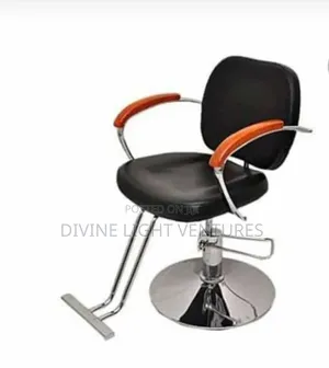 Salon Chairs