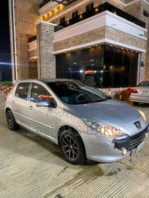 Peugeot 307 2006 Silver