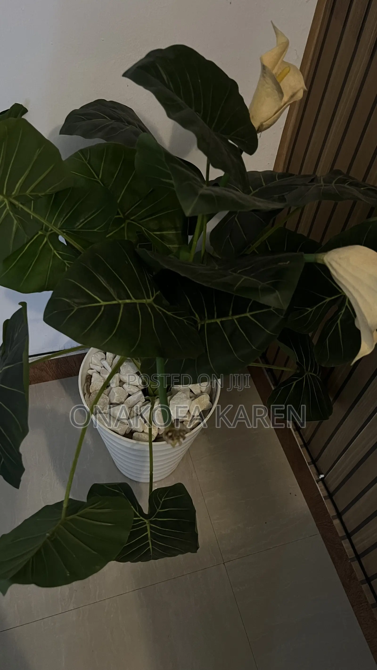 Flower Pot