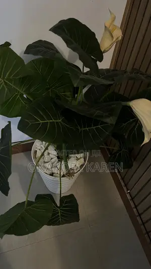 Flower Pot