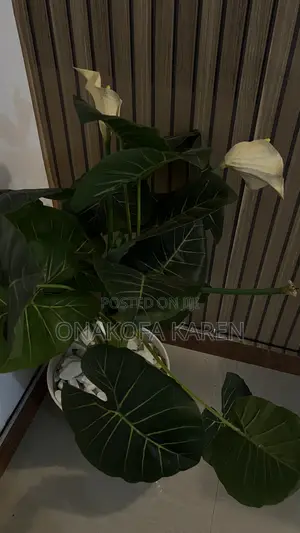 Flower Pot