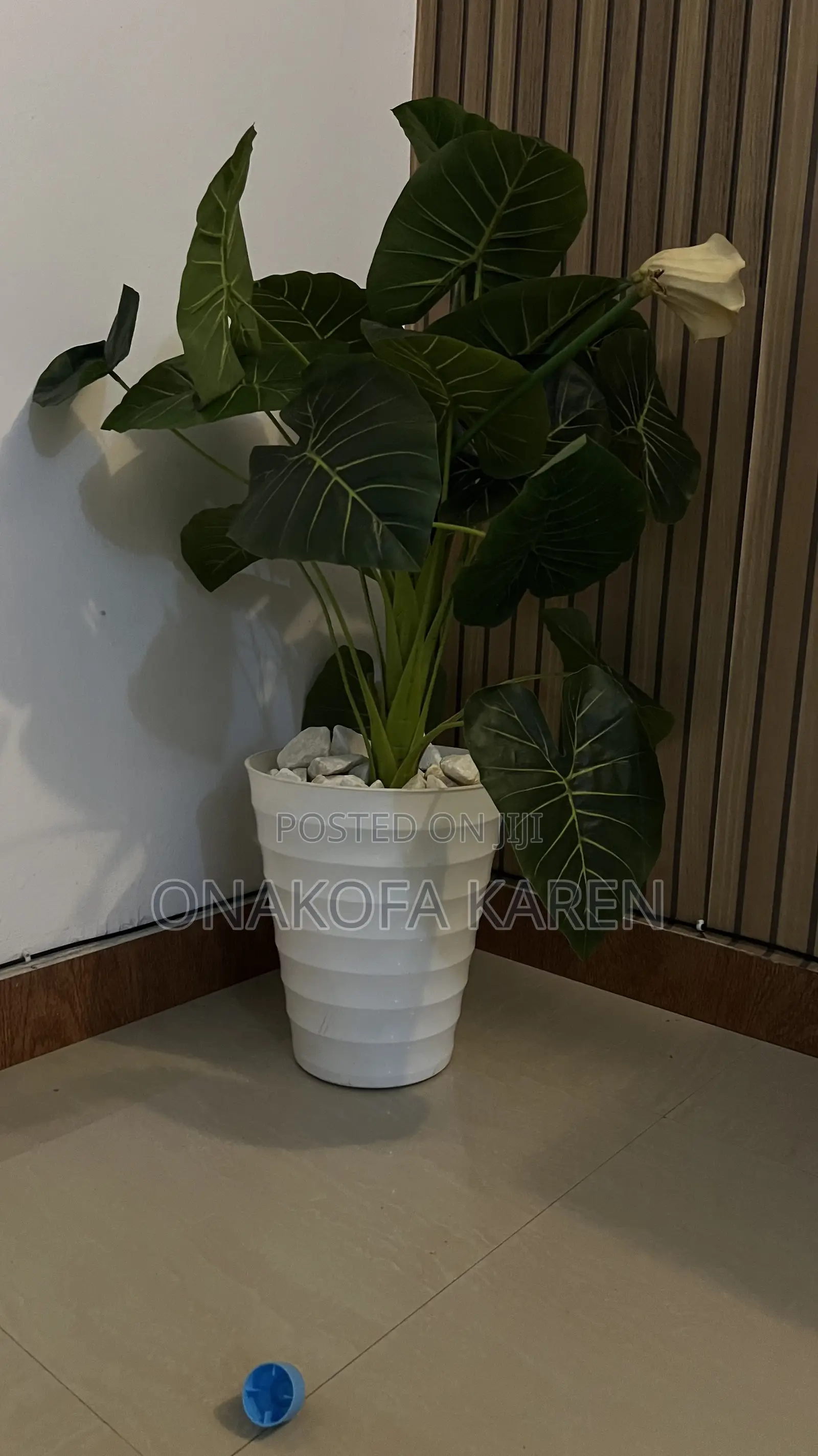 Flower Pot
