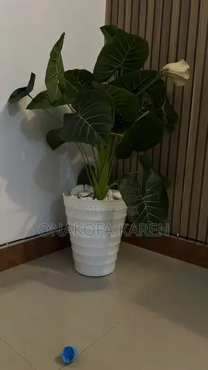 Flower Pot