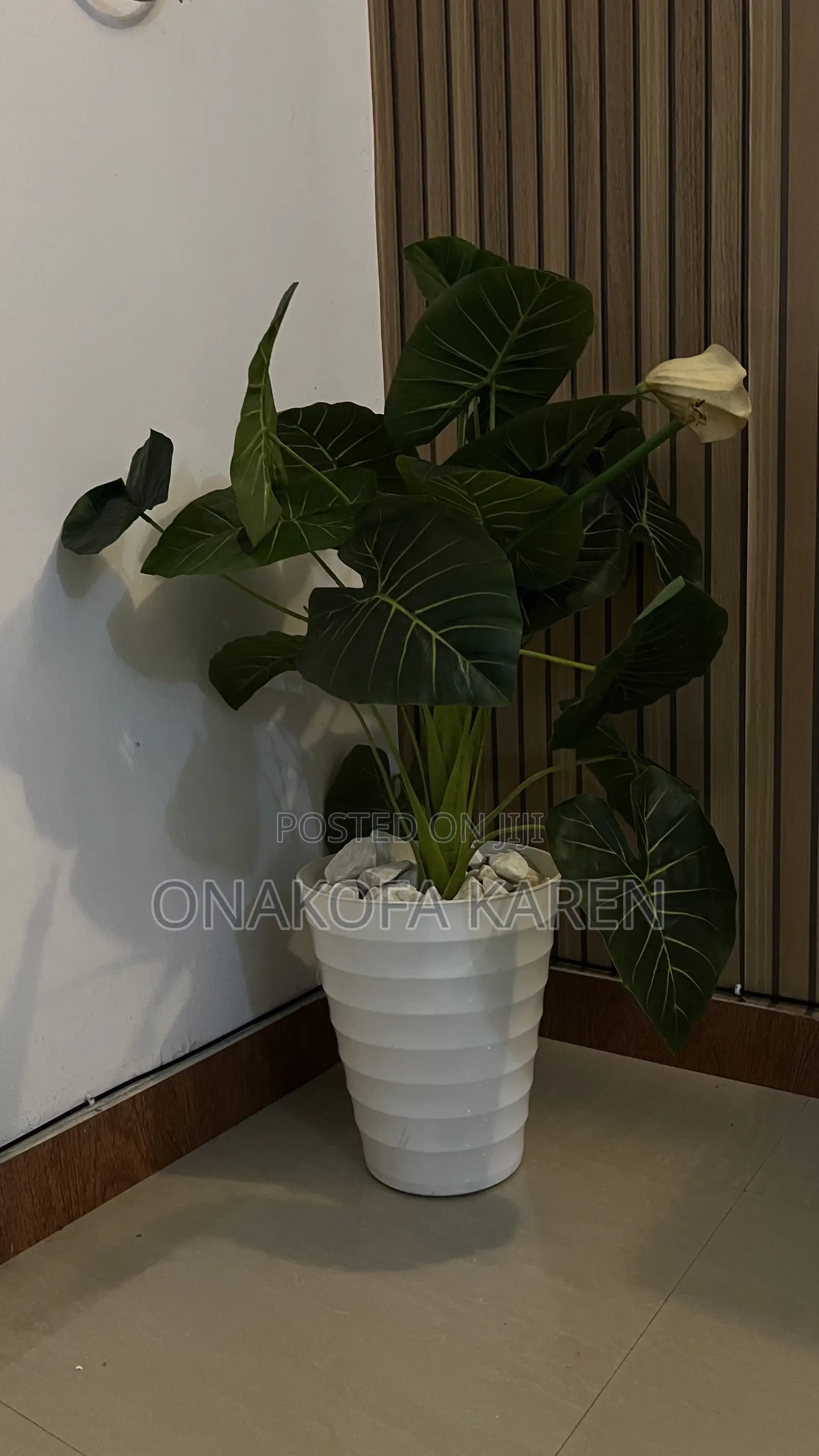 Flower Pot