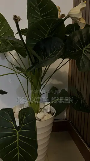 Flower Pot