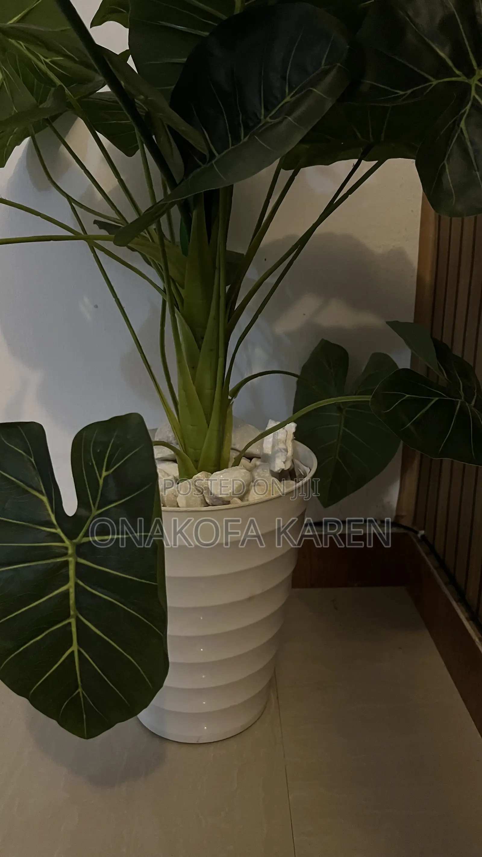 Flower Pot