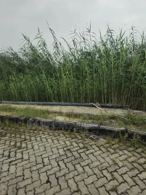 Residential Land Off 2nd Avenue Banana Island Ikoyi Lagos