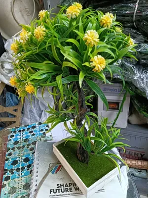 Tree Flower