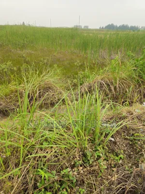 Corner Piece Residential Land at Off 3rd Avenue Banana Island Ikoyi