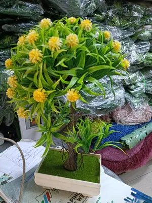 Tree Flower