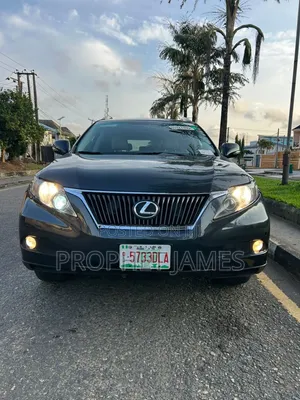Lexus RX 2010 Gray