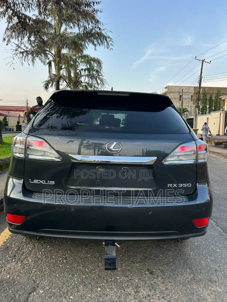 Lexus RX 2010 Gray