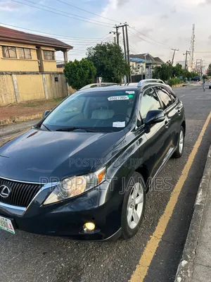 Lexus RX 2010 Gray