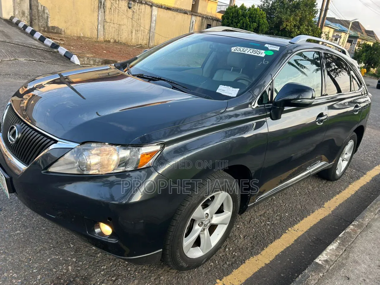 Lexus RX 2010 Gray