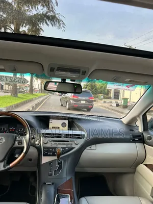 Lexus RX 2010 Gray